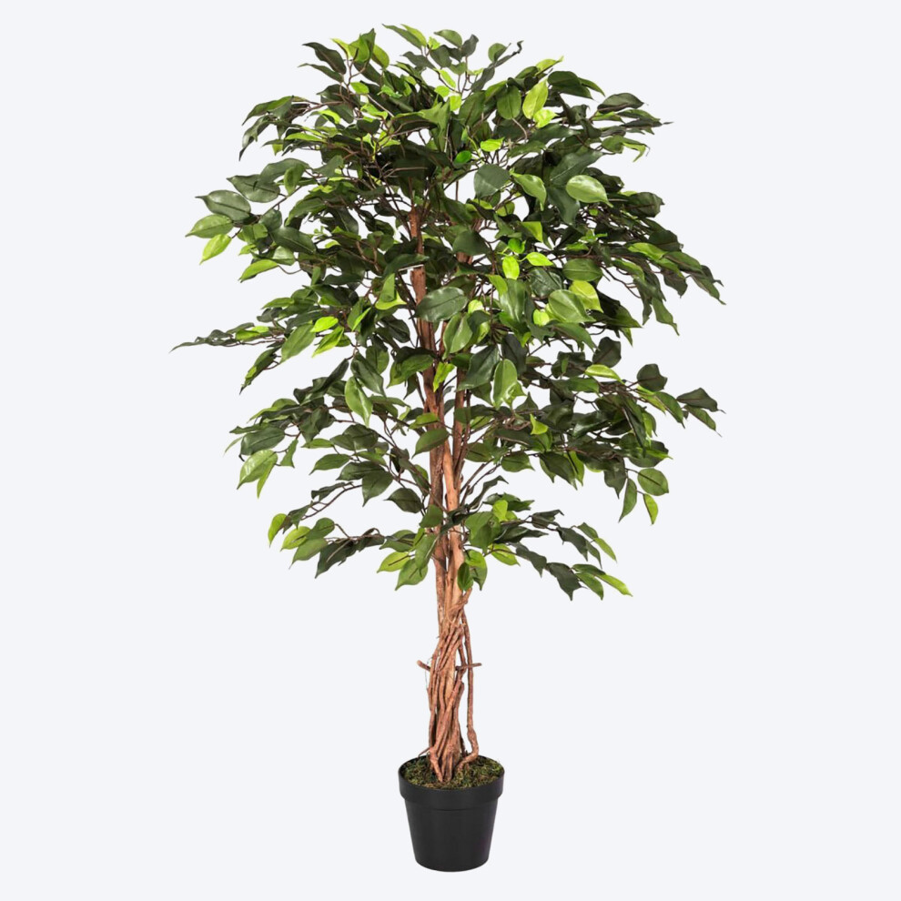 Homescapes (4 Ft (120 Cm), Green) Artificial Ficus Tree With Twisted Real Wood Trunk