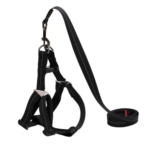 Pet Harness with 59 Inch Leash Set