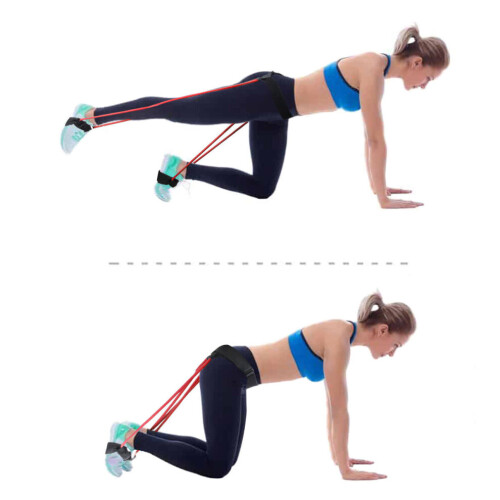 Damen Hip Trainer Butt 20lb