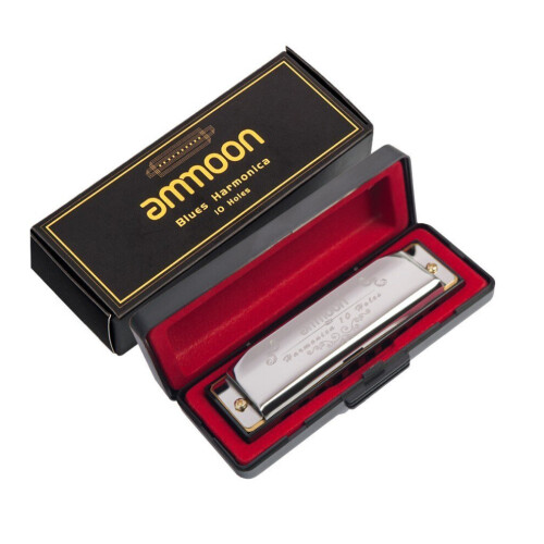 (Hopea) 10 reikää 20 sävyä Blues harmonica
