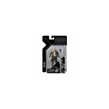 Hasbro Star Wars The Black Series Aayla Secura