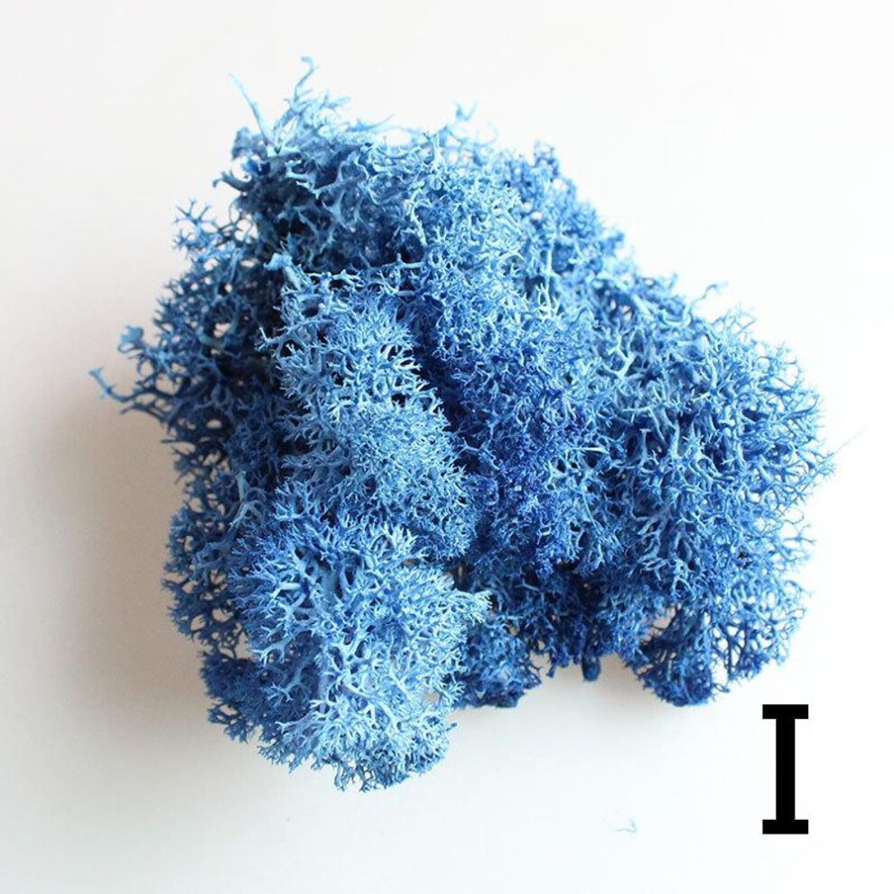 (blue) 1 Bag Grass Plant Moss Artificial Landscape Craft Multicolor Flower Decor Micro Fake Fairy Home Garden Colorful Reindeer