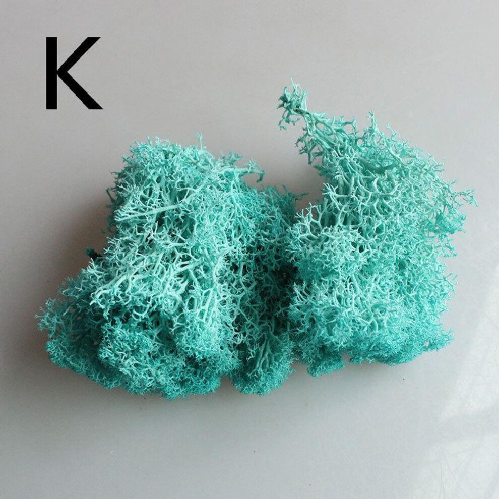 (lake blue) 1 Bag Grass Plant Moss Artificial Landscape Craft Multicolor Flower Decor Micro Fake Fairy Home Garden Colorful Reindeer
