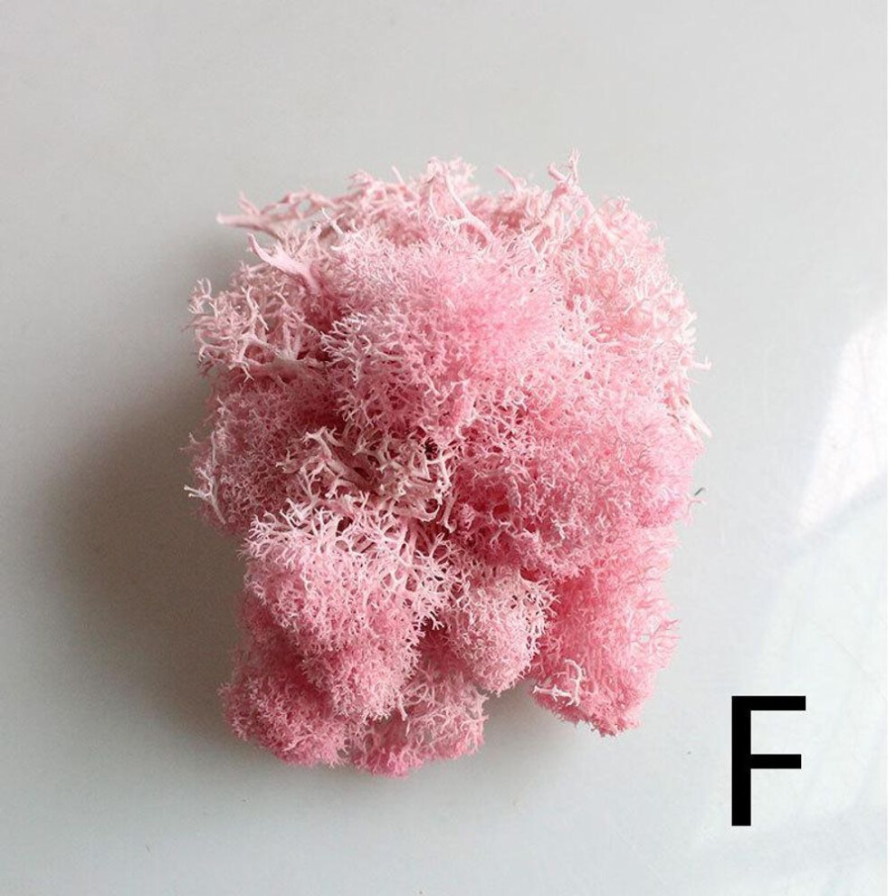(light pink) 1 Bag Grass Plant Moss Artificial Landscape Craft Multicolor Flower Decor Micro Fake Fairy Home Garden Colorful Reindeer