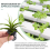 100 Pack Net Cups Slotted Mesh Wide Lip Filter Plant Net Pot 8