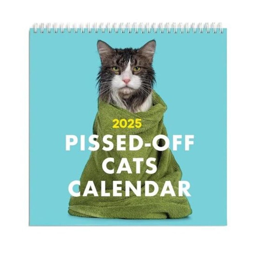2025 Pissed-off Cats Calendar Funny Cat Themed Calendar Unique Wall Calendar Daily Schedule Planner For