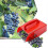 Berry Picker Berry Picker with Handle Blueberry Picker Garden Tools 1