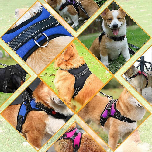 (As show, One size) No Pull Breathable Adjustable Comfort Free Lead Included For Small Medium Large 1