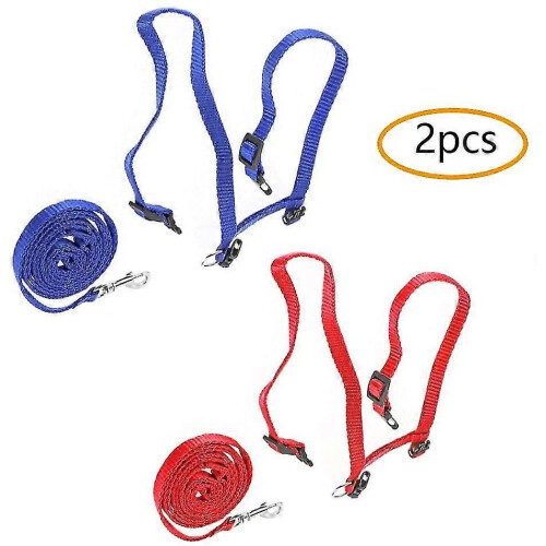 (As show, One size) Cat Harness 2 Pieces Cat Harness With Leash Escape-proof Adjustable Harnesses Ca 2
