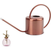 (As show, One size) Remiawy Stainless Steel Indoor Outdoor Watering Can for Indoor Plants Long Spout Watering Can for Succulent Bonsai Garden Flower (1300ml)