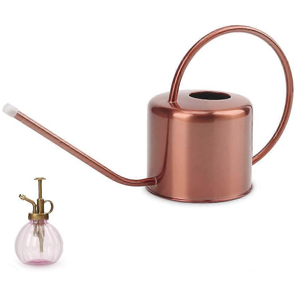 Konhill (As Show, One Size) Remiawy Stainless Steel Indoor Outdoor Watering Can For Indoor Plants Long Spout Watering Can For Succulent Bonsai Garden Flower (
