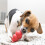 KONG KONG Classic Dog Chew Toy 2
