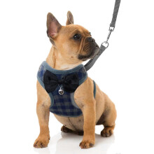 (As show, One size) Small Dog Harness And Leash Set - No Pull Pet Harness With Soft Mesh Nylon Vest For Small Dogs And Cats-Blue