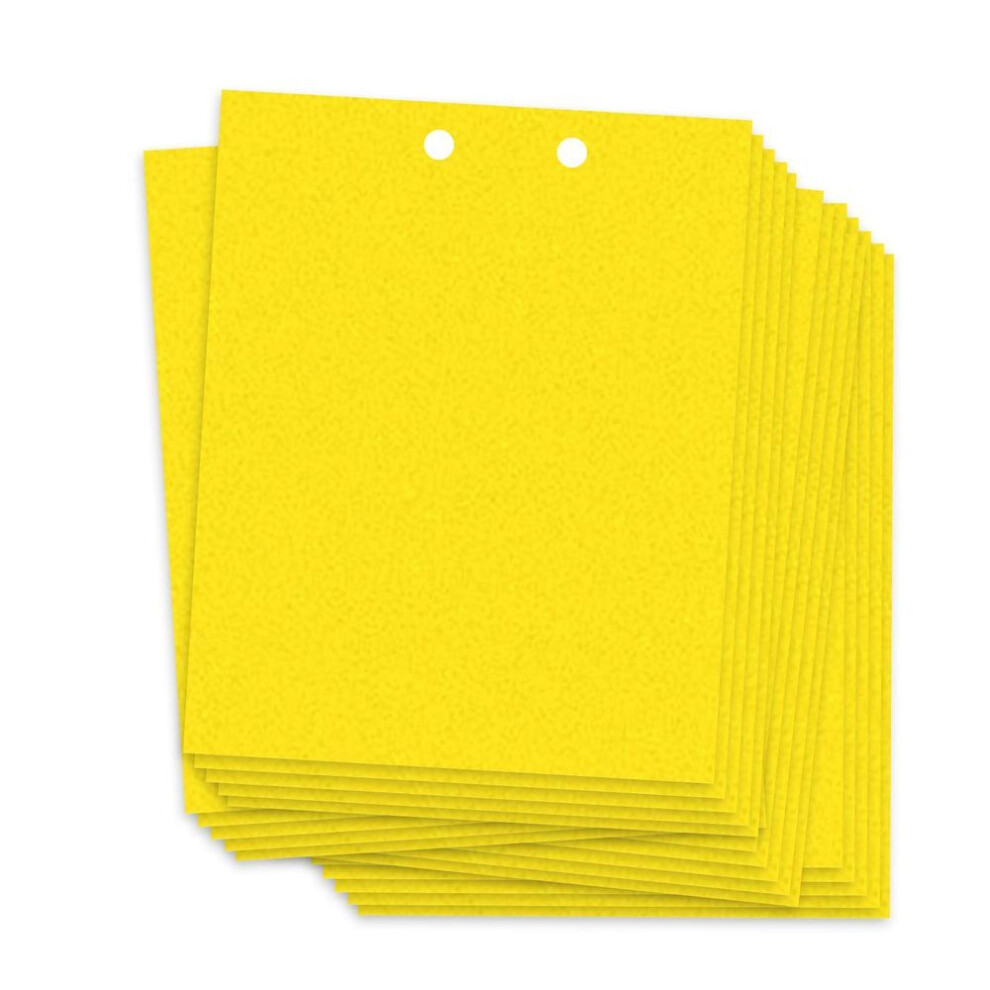 (yellow, 20X25cm) Sticky Traps for Flying Plant Insect Fungus Gnats 20pcs Dual-Sided Flying Insect Traps can