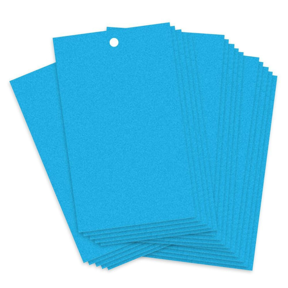 (blue, 20X10cm) Sticky Traps for Flying Plant Insect Fungus Gnats 20pcs Dual-Sided Flying Insect Traps can