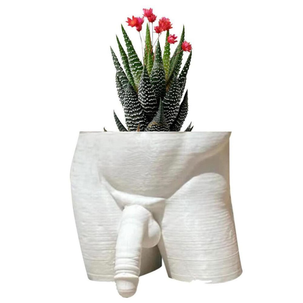 (white, One Size) (brisand) Body Form Plant Vase Funny Unique Planter Home Garden Decor