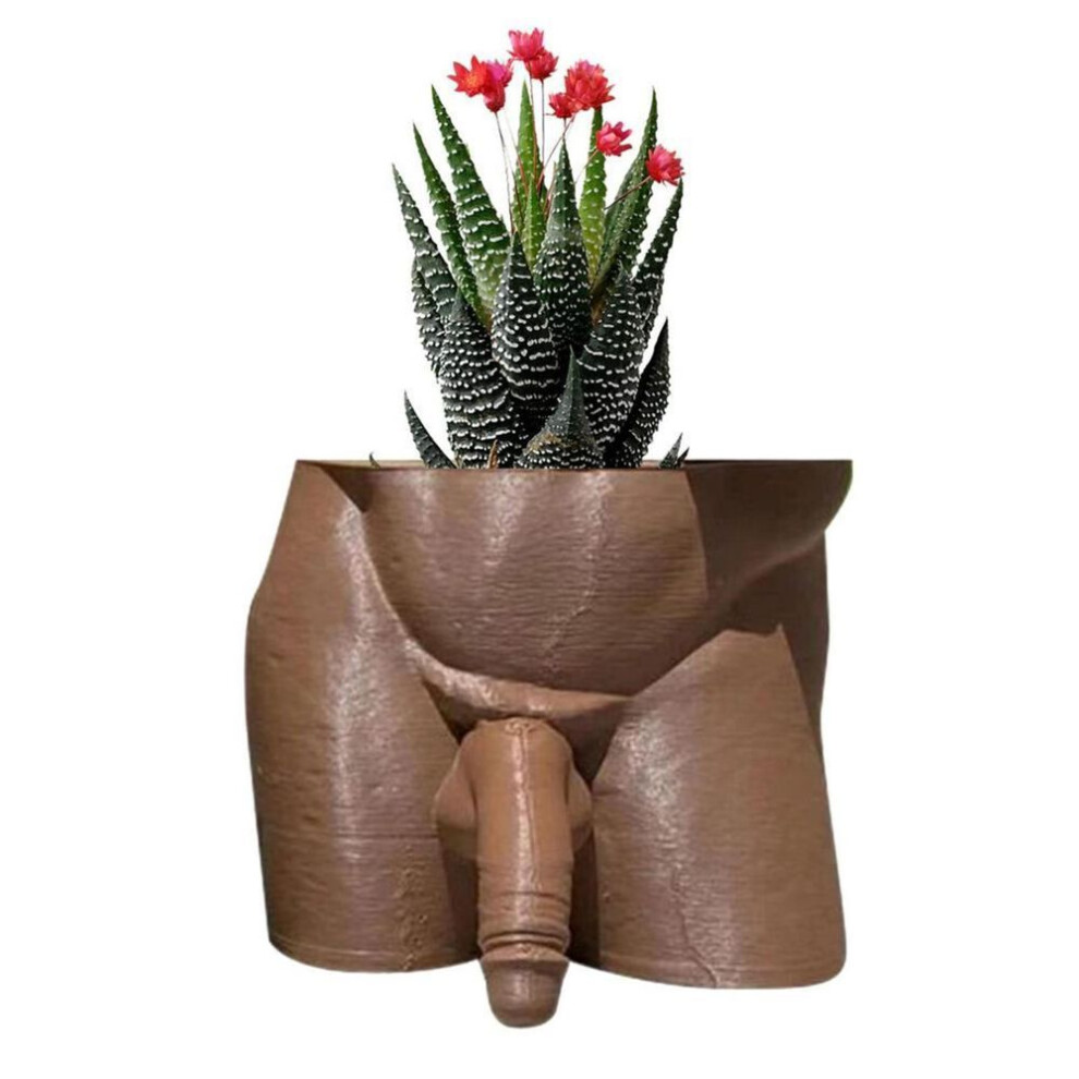 (brown, One Size) (brisand) Body Form Plant Vase Funny Unique Planter Home Garden Decor