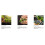 Miracle-Gro Compost For Seeds Plugs and Young Plants Peat Free Potting Compost 20L 5
