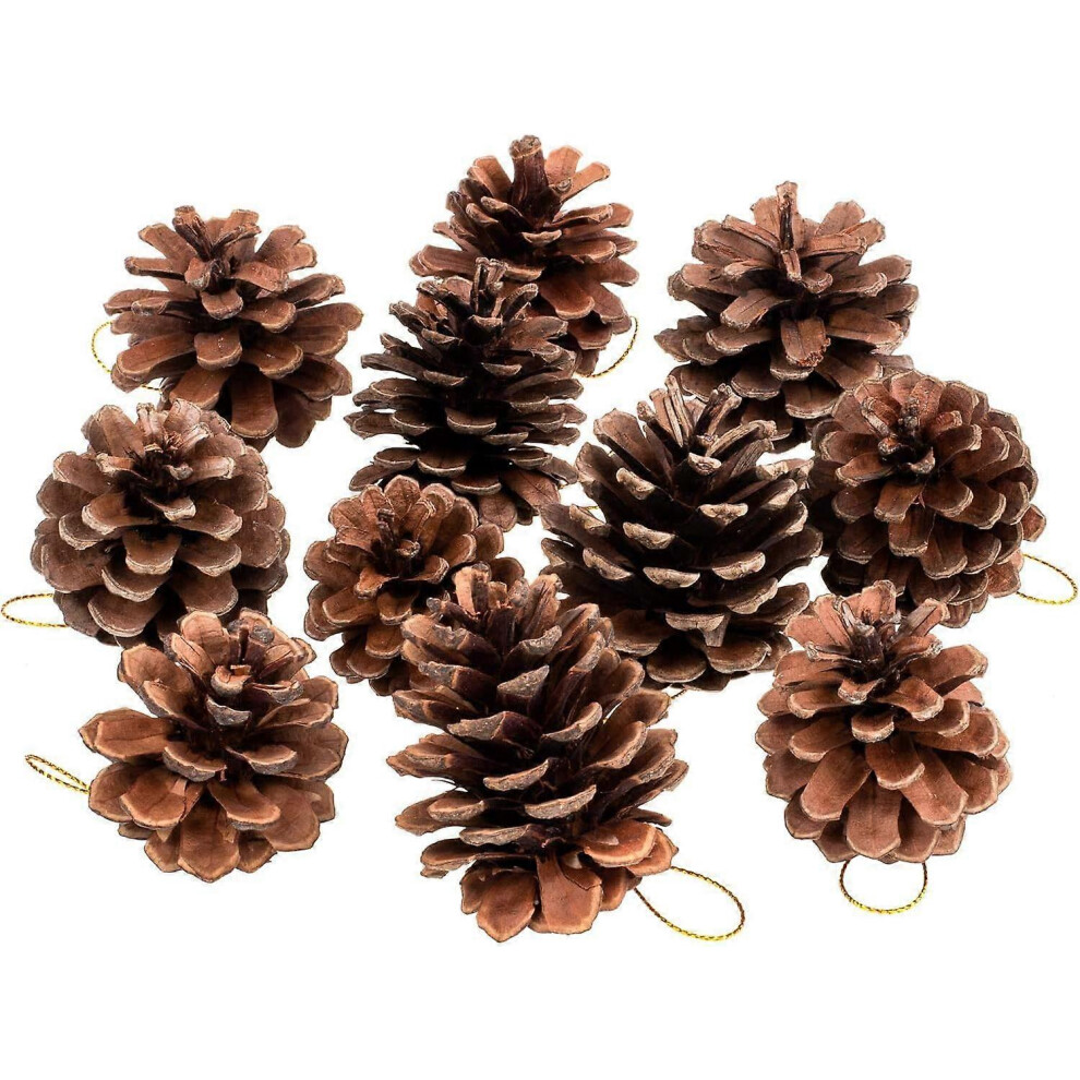 Fitville (As Show, One Size) Whaline 25 Pcs 1.6-2.4 Inches Christmas Pine Cones Decoration With String, Natural Rustic Pinecones Bulk Ornaments For Crafting Fo