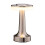 (Silvery) Brass-Finish LED Table Lamp - Rechargeable, 3-Level Adjustable Brightness, Touch Sensor 1