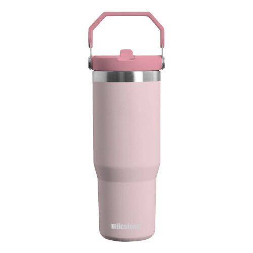(Pink) Milestone Insulated Flip Straw Drinking Bottle