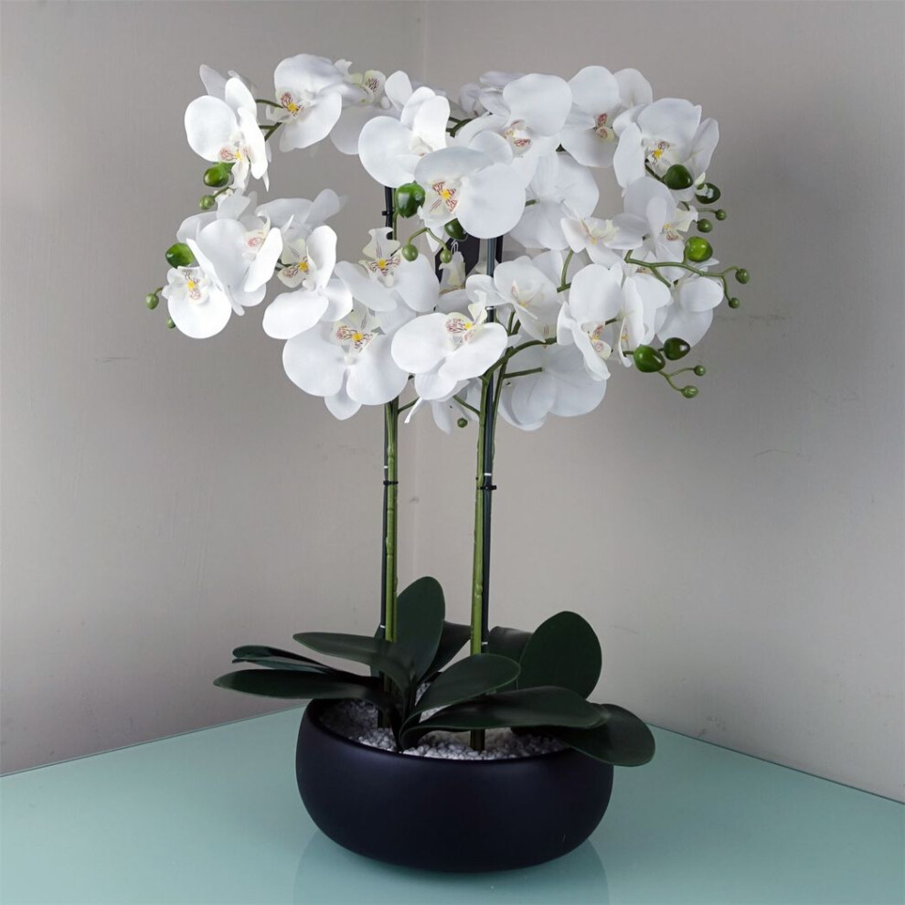 White/Black Orchid Artificial White - Black Ceramic Planter 60Cm