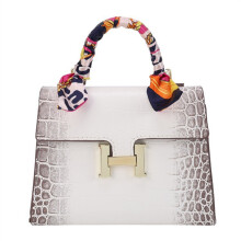 (Himalayan white) Small square bag handbag