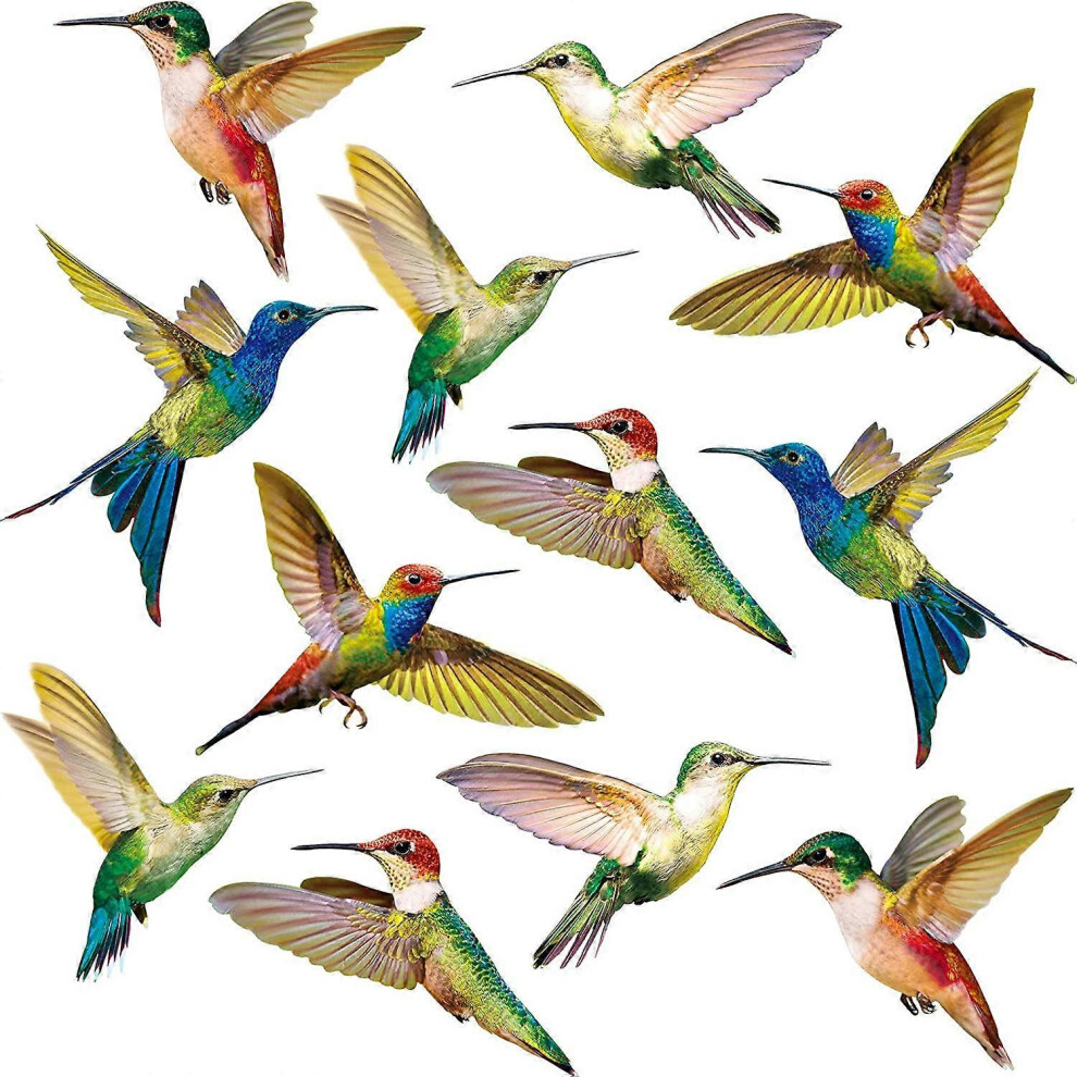 Konhill (As Show, One Size) 18 Pieces Large Size Hummingbird Window Clings Anti-Collision Window Clings Decals To Prevent Bird Strikes On Window Glass Non Adh
