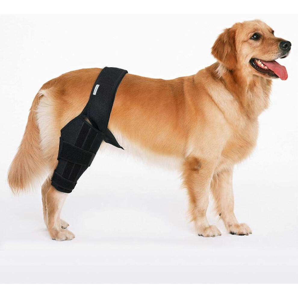 Fitville (S, Black) Dog Knee Brace For Dog Acl Brace Hind Leg Or Rear Leg, Ccl Brace Hind Leg (Size: M)