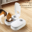 Automatic Timing Pet Cat Feeder 350ml Dish Bowl Double B 6