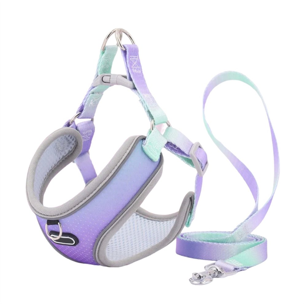 Ensemble Harnais et Laisse Anti-Fuite pour Chat, RéGlable en Chien, Gilet Chiot, de Marche Animaux Compagnie (A), L
