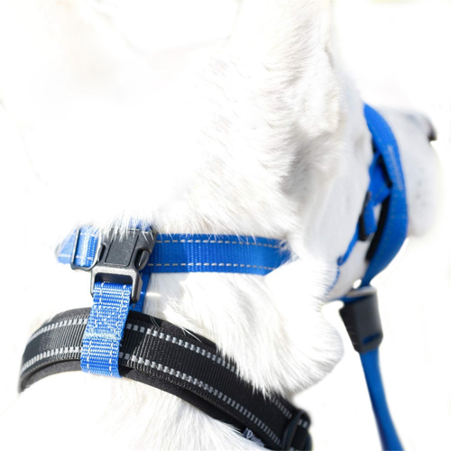 Dog Mouth Muzzles Anti Bark Collar Breathable Training Tool, MB 2