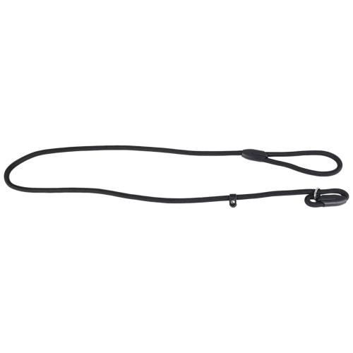 Nylon Dog Training Slip Walking Lead With P Chain 1cm μαύρο 1