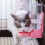 Pet Parrots Birds Drinker Hanging Water Dispenser Device Product 5