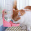 Pet Parrots Birds Drinker Hanging Water Dispenser Device Product 4