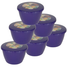 (Purple) ½ Pint Plastic Steamed Pudding Basins with Lids
