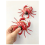 Cute Crab Home Decoration Refrigerator Magnet 8
