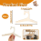Cabides de para CriançAs, 20 Unidades Cabide Bebê Roupas 9 Polegadas Kids Baby Toddler Children , e CalçAs 3