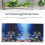 Δεξαμενή ψαριών αφίσα αφίσας ενυδρείου με φόντο φρέσκιας θάλασσας 3