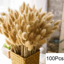 (J) 105pcs Natural Dried Flowers Pampas Floral Bouquet Boho Country Home Decoration Rabbit Tail Grass