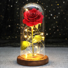 (B17) Wedding LED Enchanted Galaxy Rose With Lights In Dome Beauty and the Beast Rose