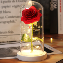 (B27) Wedding LED Enchanted Galaxy Rose With Lights In Dome Beauty and the Beast Rose