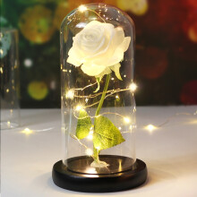 (B43) Wedding LED Enchanted Galaxy Rose With Lights In Dome Beauty and the Beast Rose