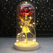 (B31) Wedding LED Enchanted Galaxy Rose With Lights In Dome Beauty and the Beast Rose
