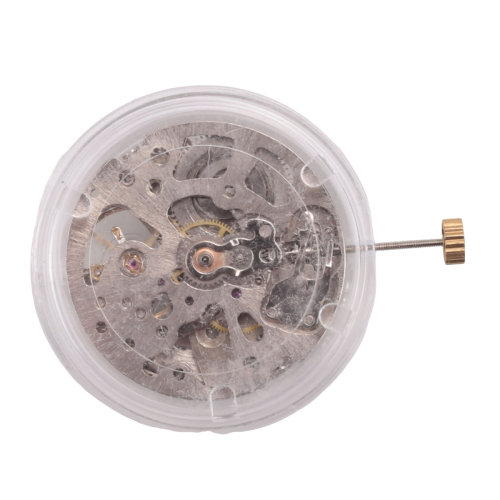 Radiation-Up Pendulum Skeleton Movement Adjustment Radial Pattern Automatic Watch 2001 1