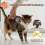 Bluetooth Pet Micro-Chip Reader,3-In-1(2.4GHz Wireless+Bluetooth+USB) Animal Universal -Tag Reader Scanner ,Q40 4