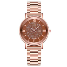 (brown) Topseller Women Luxury Wristwatches Fashion Diamond Woman's Quartz Watches Best Gifts Clock For Wife,family,friend