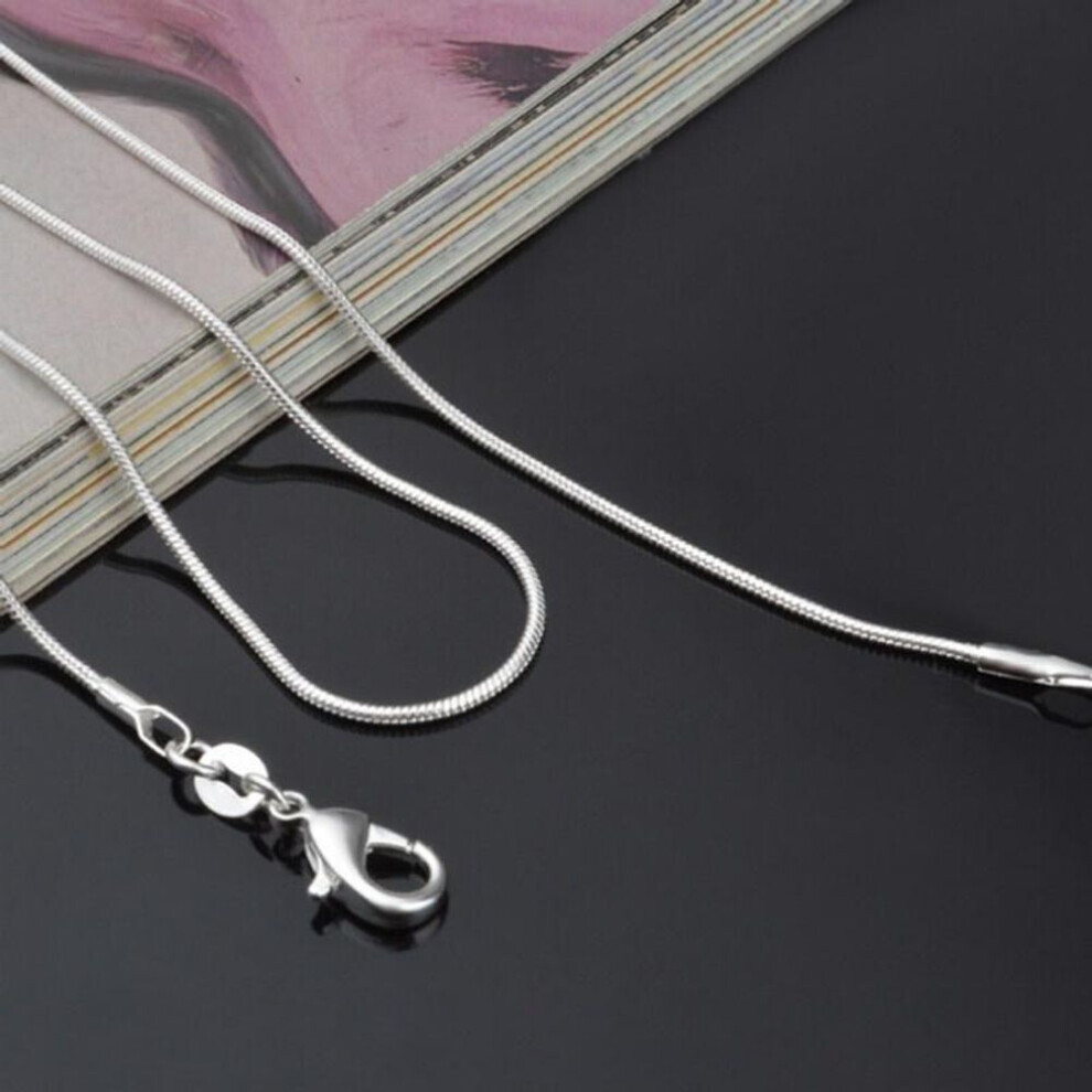 (silver, 40 cm) European Style Fashion Unisex Round Snake Chain Long Necklace Chains