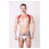 Prowler RED Sports Harness Lite Red S/M 1
