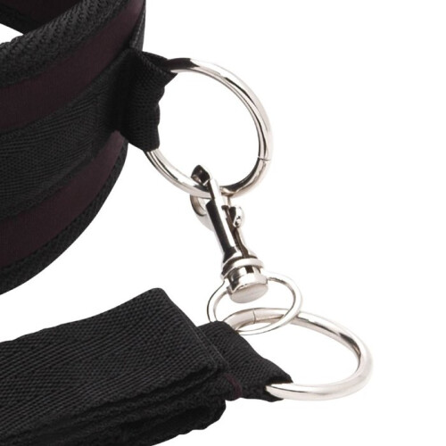 Collar And Leash Set 1